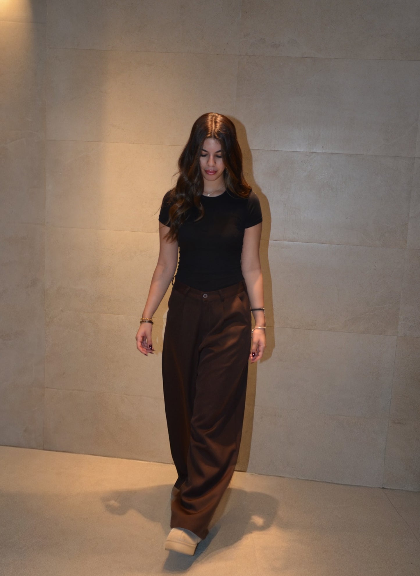 Wide-Leg Pleat Pants (Brown)