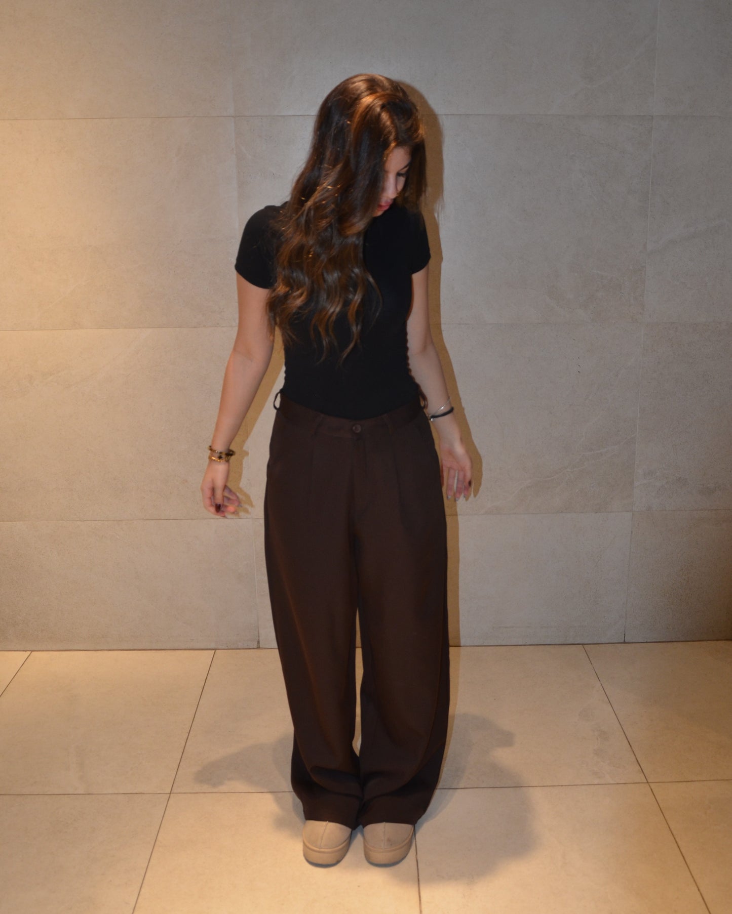 Wide-Leg Pleat Pants (Brown)
